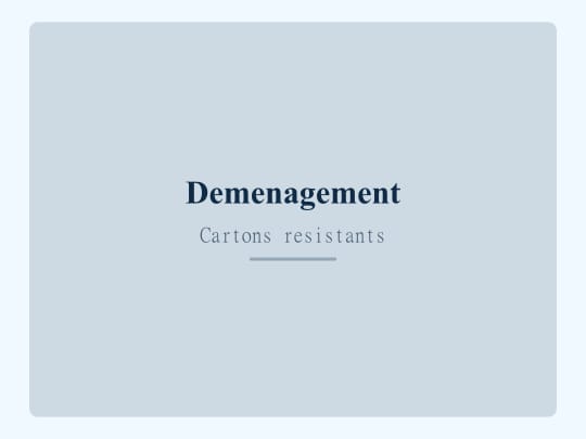 Cartons demenagement professionnel